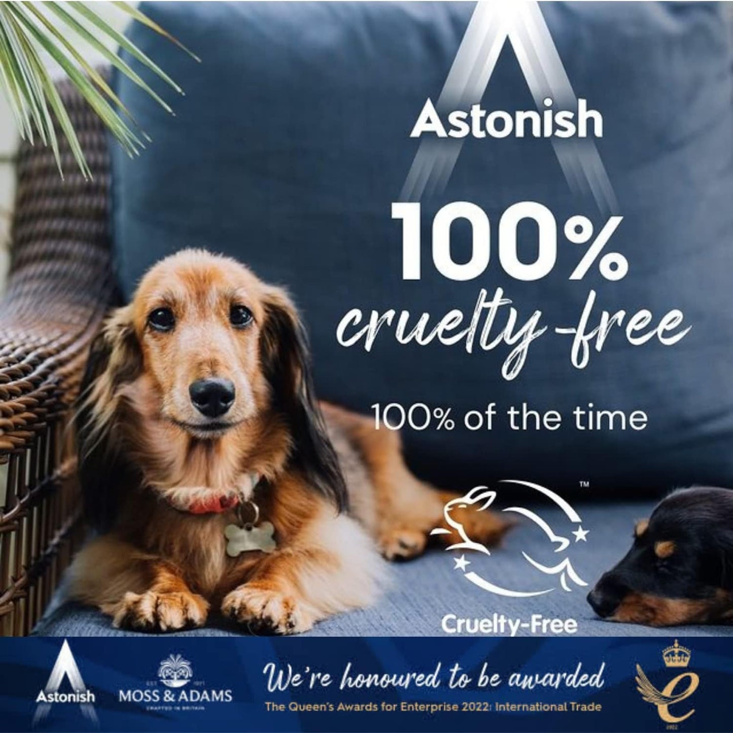 Astonish Specialist Extra Strength Grease Lifter With Baking Soda - No Scrub De-Greaser Formula For Kitchen Surfaces, Trays & Pans - Vegan Cruelty Free Household Cleaning Supplies, 750ml Spray Bottle