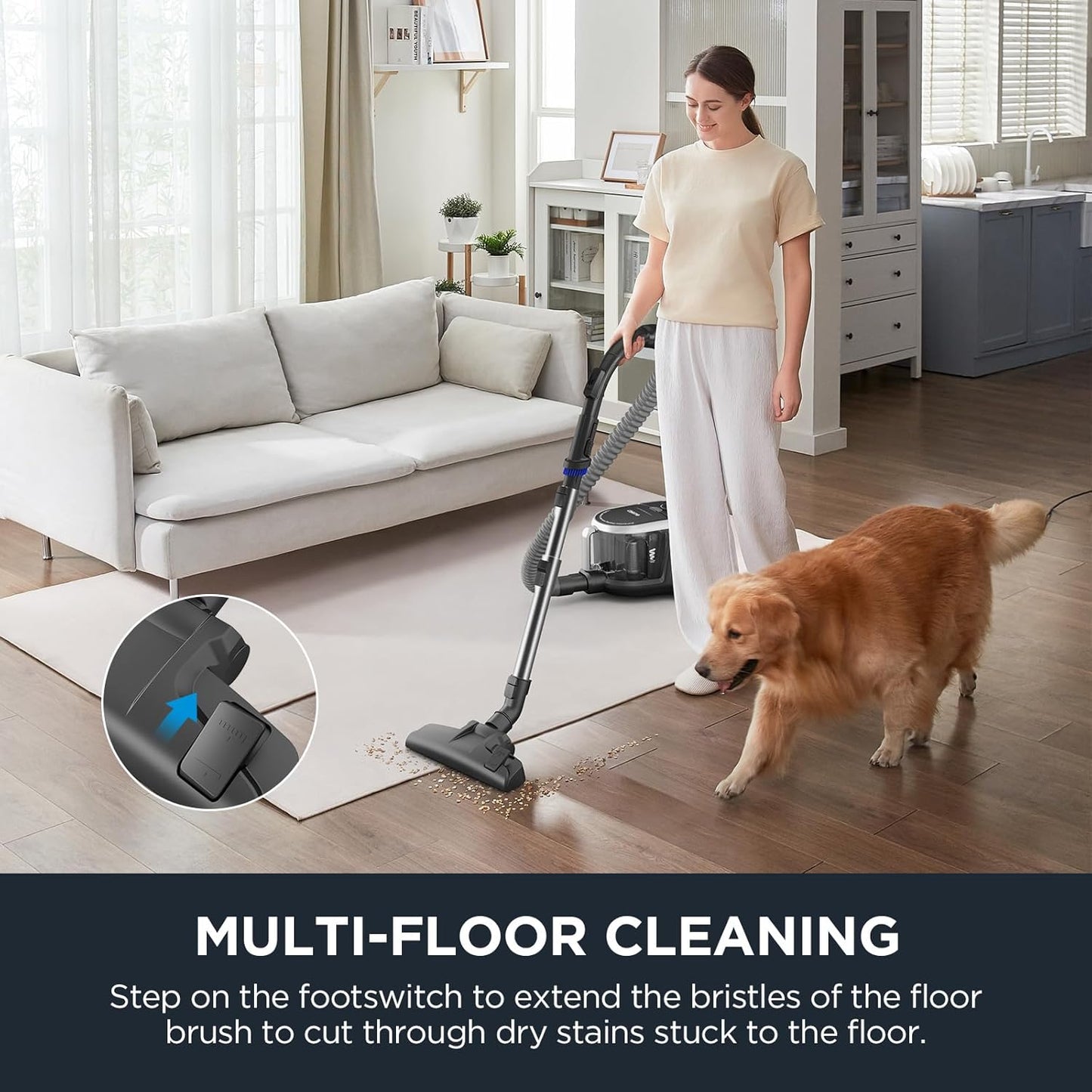 Eureka Bagless Canister Vacuum Cleaner, Lightweight Vac for Carpets and Hard Floors, Silver with Black, NEN180