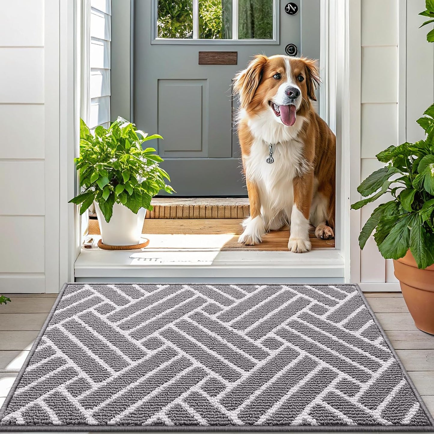 OLANLY Runner Indoor Door Mat, 47x23 Inch, Dirt Resistant and Absorbent, Non-Slip Rubber Backing Floor Mats, Easy Clean Low-Profile Doormat for Entryway, Front Door, and Inside Entrance, Grey