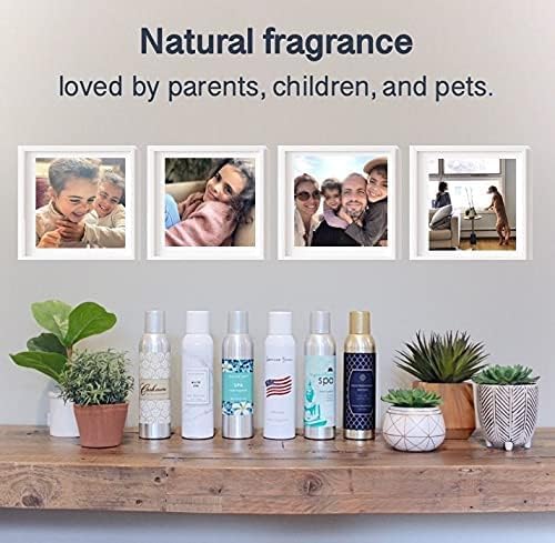 AP Fragrance Belfair Oaks Room Fragrance Air Freshener Spray - Concentrated Sandalwood Deodorizer - 2 Pack