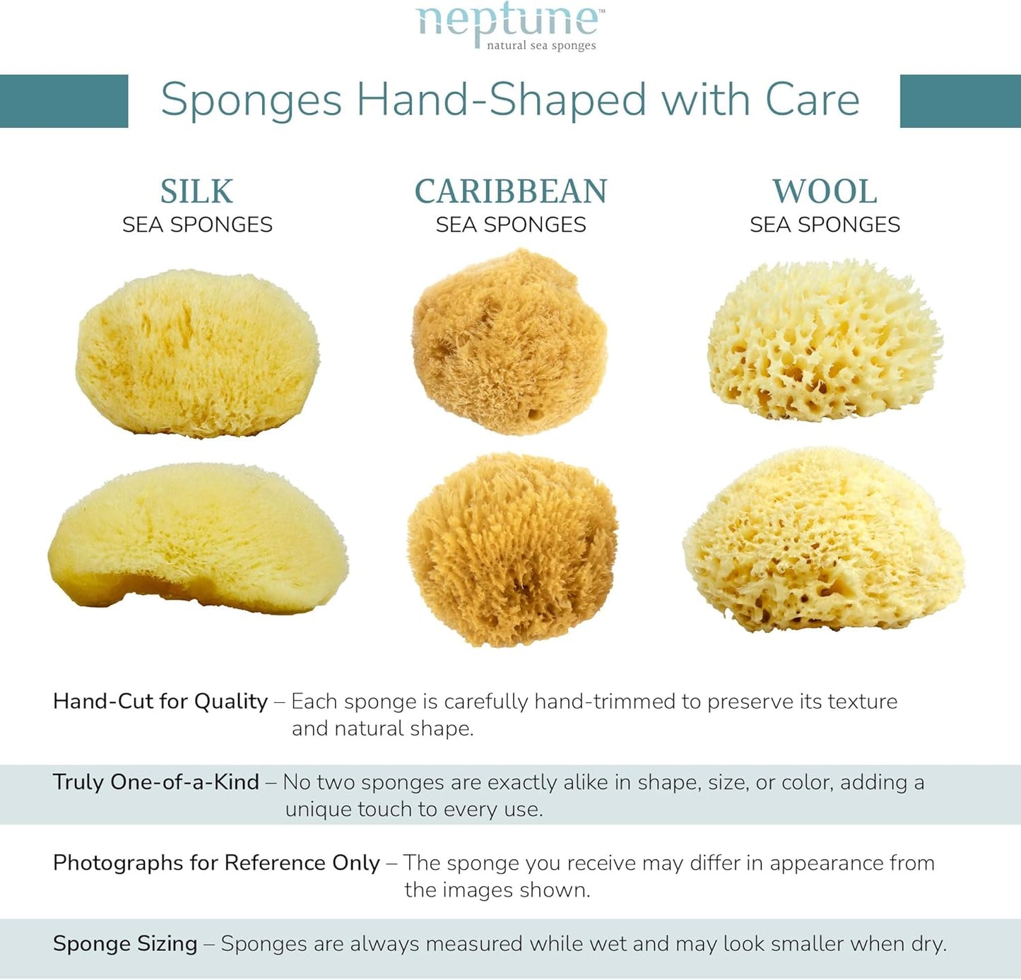 Neptune Caribbean Sea Sponge, Hand Cut, Small, Approx. 4-5 inches