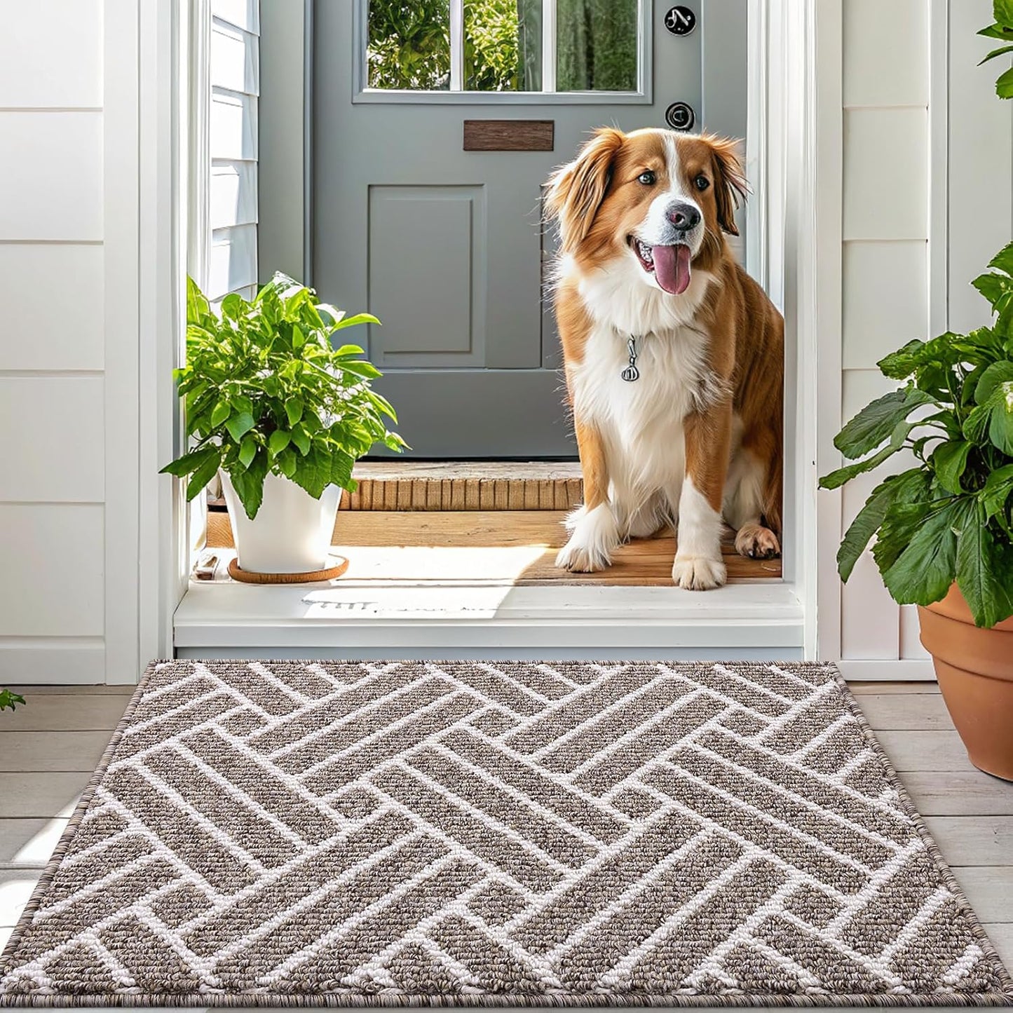 OLANLY Large Indoor Door Mat, 71x47 Inch, Dirt Resistant and Absorbent, Non-Slip Rubber Backing Floor Mats, Easy Clean Low-Profile Doormat for Entryway, Front Door, and Inside Entrance, Khaki