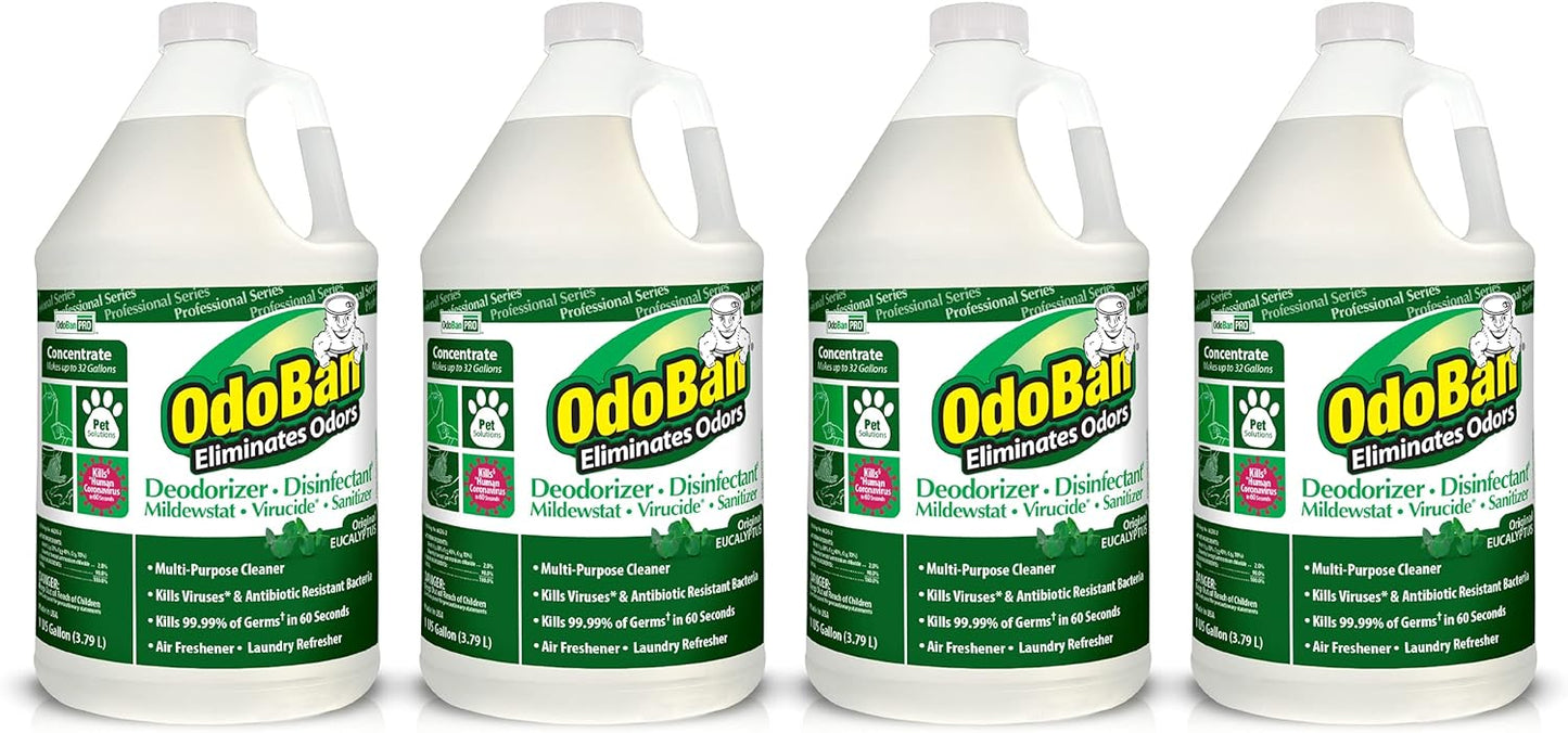 OdoBan Professional Disinfectant and Odor Eliminator Concentrate, 4 Gallons, Original Eucalyptus Scent