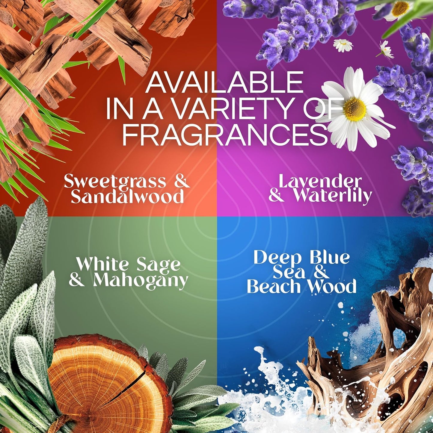 Air Wick Scented Oils 0+5 Eucalyptus & Wild Berries